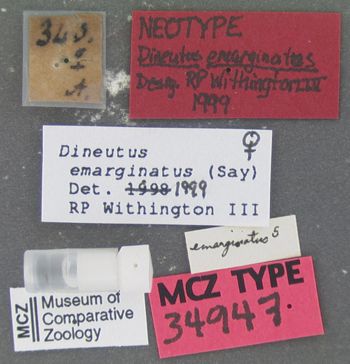 Media type: image;   Entomology 34947 Aspect: labels